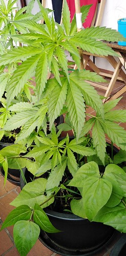 Growreport Bild 13