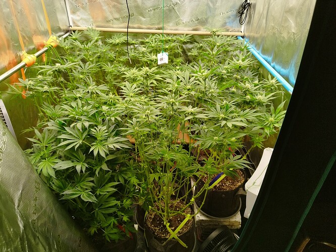 Growreport Bild 12
