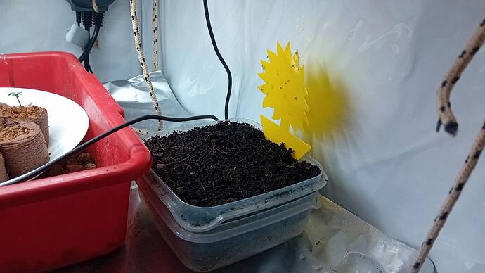 signal-2024-08-16-125056