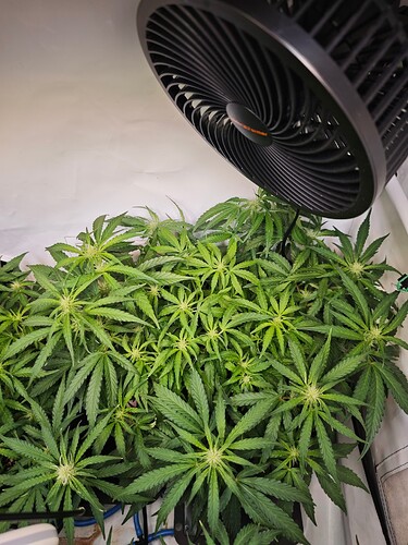 MVIMG_20251022_164801