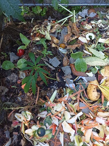 WhatsApp Bild 2024-09-11 um 08.49.56_f5d12e7c