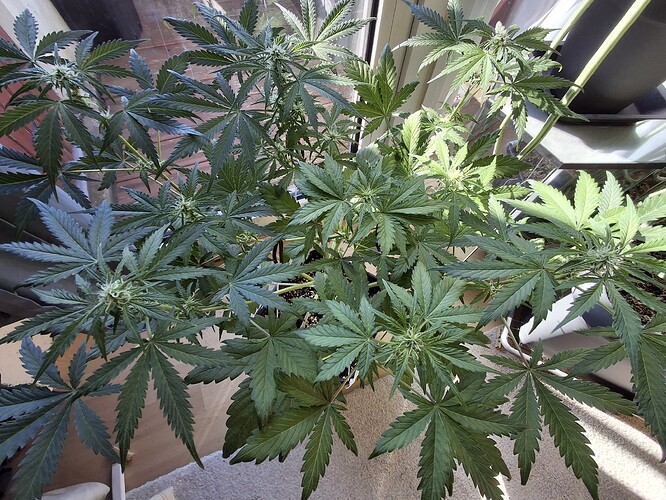 Growreport Bild 5