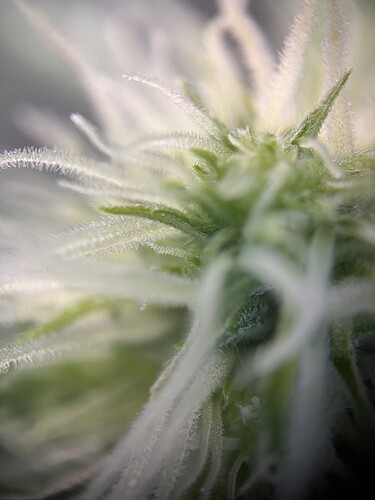 Growreport Bild 24
