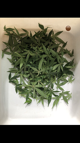 Growreport Bild 45