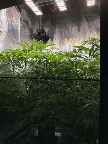 Growreport Bild 5