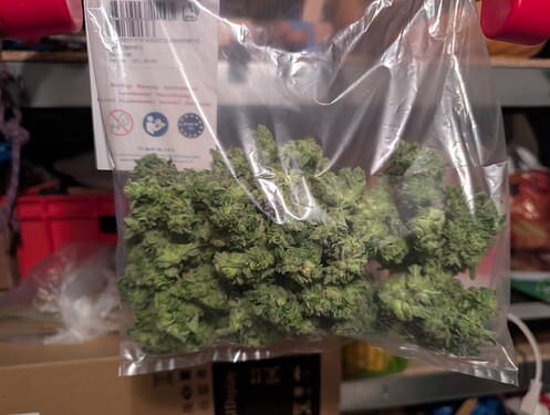 PXL_20250709_185746868