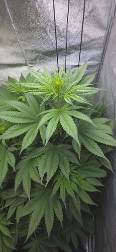 Growreport Bild 9