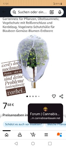 Screenshot_20260327-173125-01