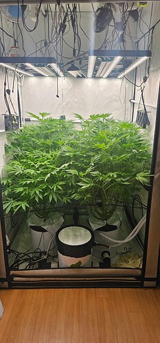 Growreport Bild 10