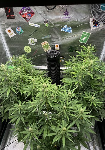 Growreport Bild 10