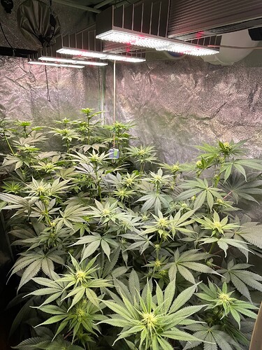 Growreport Bild 4
