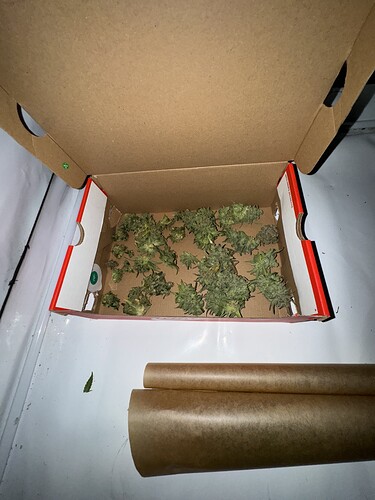 Growreport Bild 13