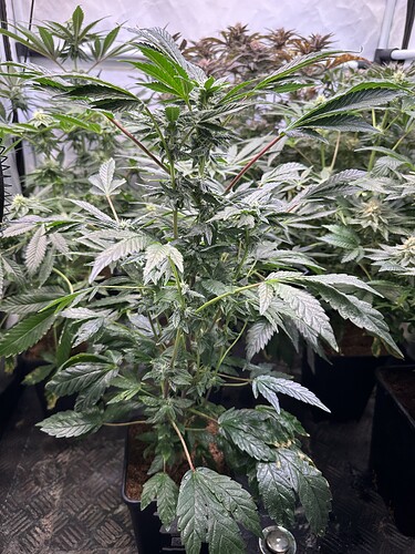 Growreport Bild 20