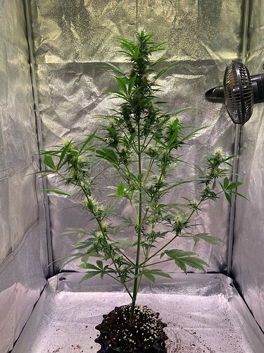 Growreport Bild 9