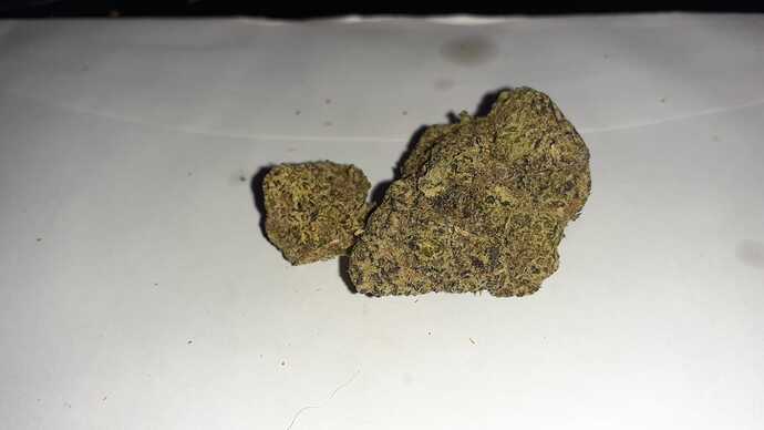 f992e6f3-394e-4f1c-a291-3927fae5656c