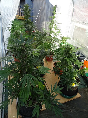 Growreport Bild 23
