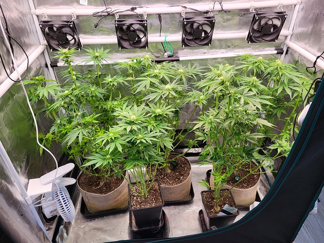 Growreport Bild 3