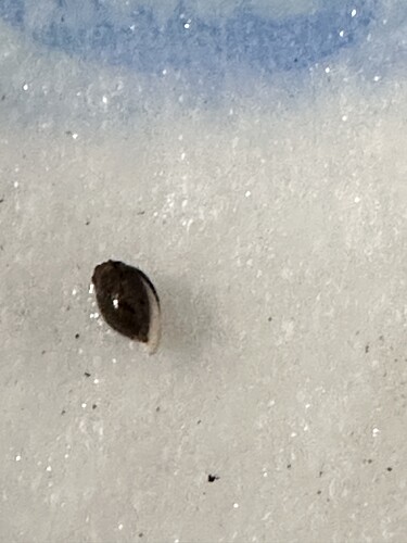 Growreport Bild 30
