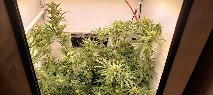 Growreport Bild 7