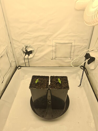 Growreport Bild 6