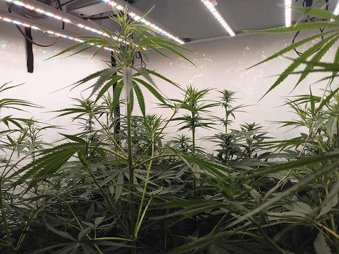 Growreport Bild 24