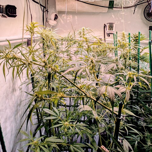 Growreport Bild 6