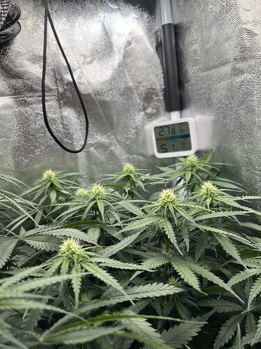 Growreport Bild 6