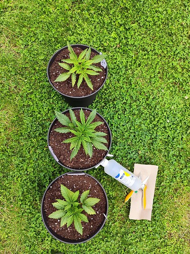 Growreport Bild 9