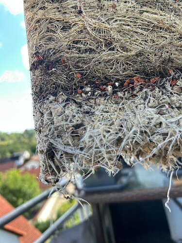 Growreport Bild 21