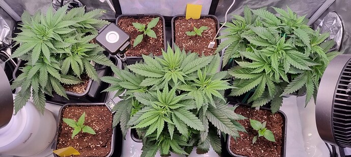 Growreport Bild 14