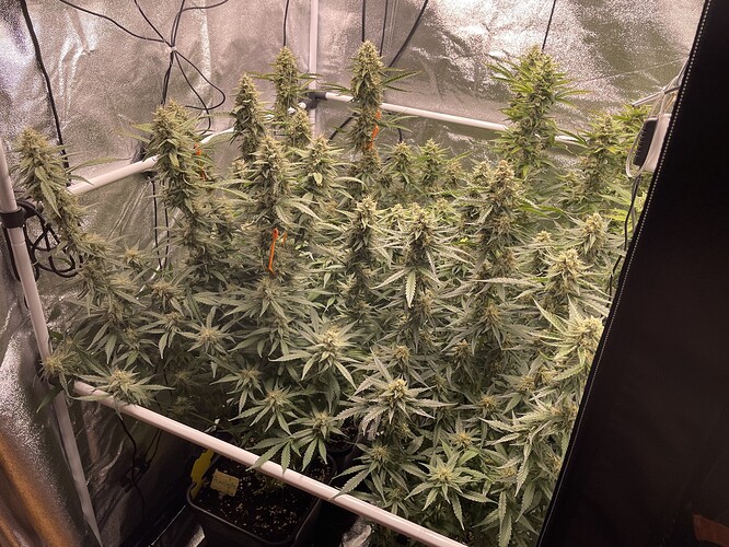 Growreport Bild 14