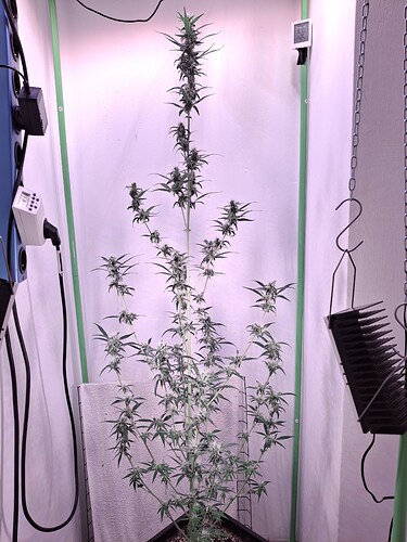 Growreport Bild 221