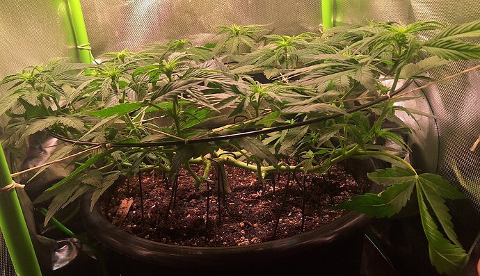 Growreport Bild 10