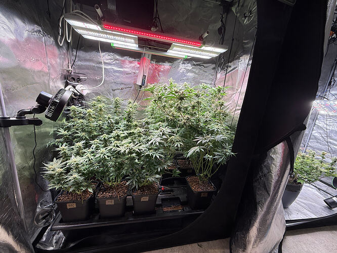 Growreport Bild 33
