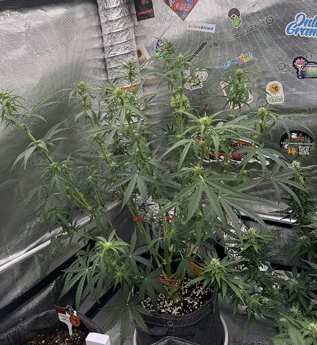 Growreport Bild 11