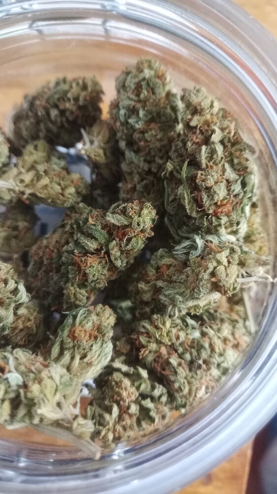 Bordsteinschwalben Draustür Anbau (Diesel, Kush, Blueberry, Erdbeer Affe)ABGESCHLOSSEN