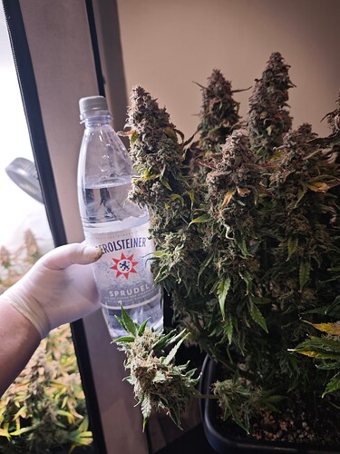 MVIMG_20251204_175409