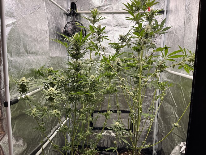 Growreport Bild 12