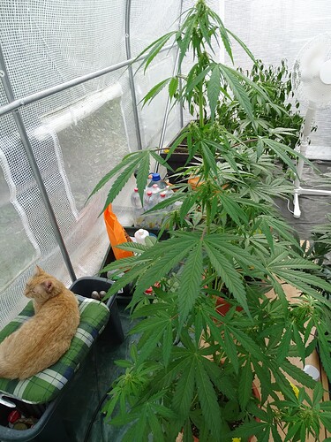 Growreport Bild 18