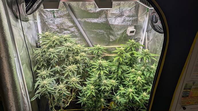 Growreport Bild 3