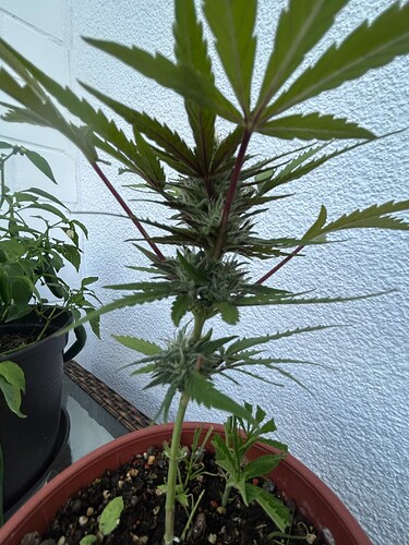 Growreport Bild 10