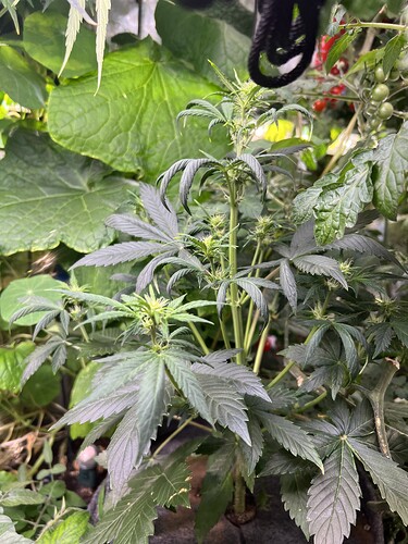 Growreport Bild 11