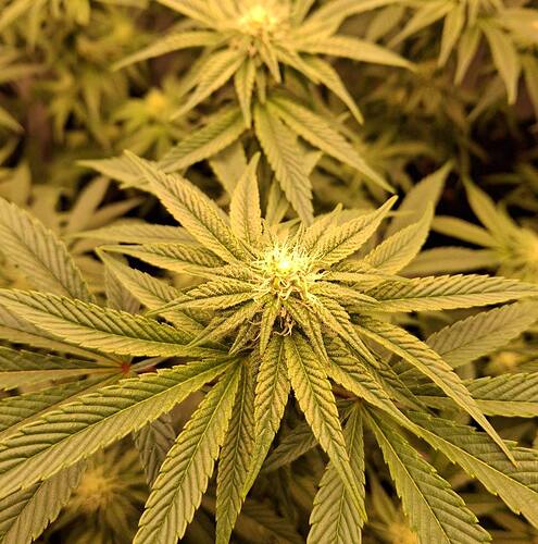 475119913_122165273624293599_672615421259120368_n