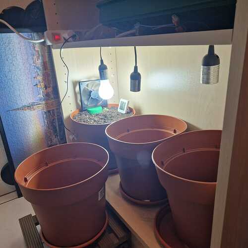 WhatsApp Image 2024-04-21 at 13.20.49 (2)