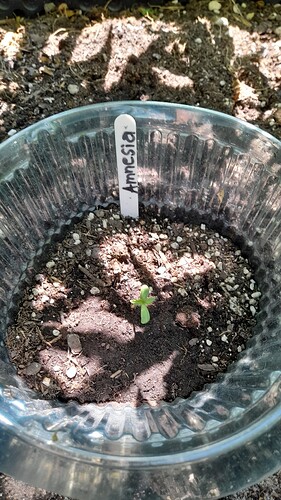 Growreport Bild 15