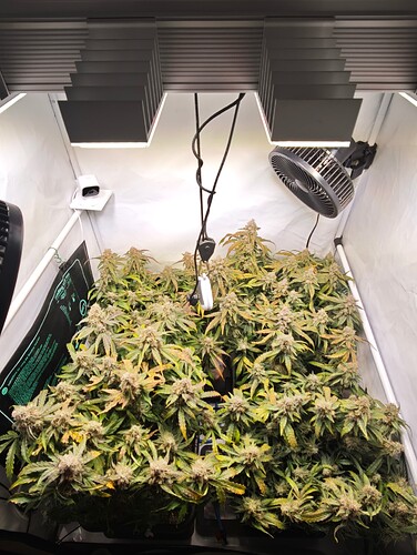 MVIMG_20251125_180411