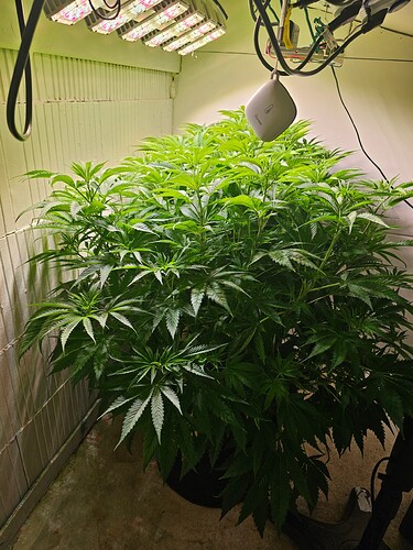 Growreport Bild 1