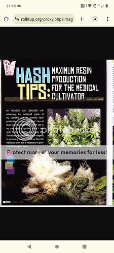 Screenshot_20240610-214812