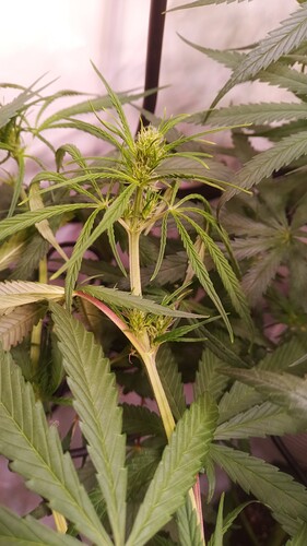 Growreport Bild 17