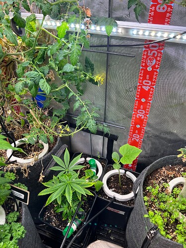 Growreport Bild 17